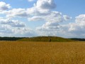 река омь
