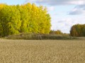 борисовка