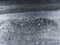 2001
