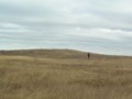 Маслово - 3300