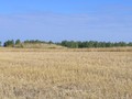 Садовскии? (племсовхозовскии?) курганныи? могильник - 3