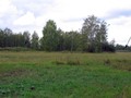 Гороховскии? курганныи? могильник