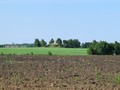 с.Шмаково, курган -2 Орловскии?