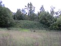 малаховские_курганы