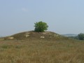 Курган р.Осколец