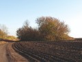 Владимировка1