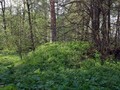 90