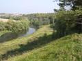 55