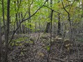 Konkovsky_burial_mound_2