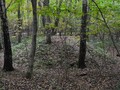 Konkovsky_burial_mound_7