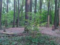 Konkovsky_burial_mound_9