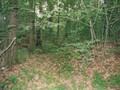 Лужки-2