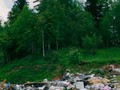курсаково_