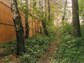 Городище Воронковское