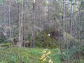 СОПОЧНО-КУРГАННЫИ? МОГИЛЬНИК КОРГОВО-2