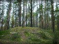 Курган Озерявки_ Псковская обл