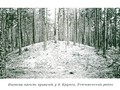 Курганы д.Крутец, Устюженскии? р-н, Вологодская обл