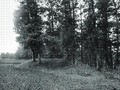 16 курганов р. Сундырка, в 0,5 км к З от д. Верхние Олгаши Моргауш. р-на Чувашия