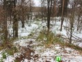 холм