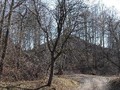 ZHdamyrovskoe-gorodyshhe