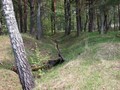 Александровское городище2