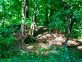 Курганы р.Городянка — Уваровское_