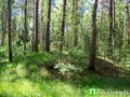 ПРОТВИНСКИЕ КУРГАНЫ - два одиночных кургана