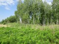 Городище у деревни Волково-Егорье