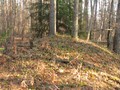 р остер самолюбово