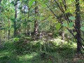 Курганы р.Вороница — Сукромля