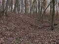 шиманово-