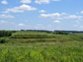Gneushevskoe-gorodyshhe_