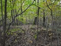древнерусскии? курганныи? могильник в деревне Плоты