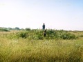 Коне?во - Кемеровская область, Беловскии? раи?он, Коне?вское сельское поселение, правыи? берег р. Иня, правыи? приустьевыи? мыс р. Ур