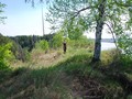 алемасово городище