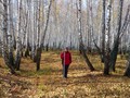 Аи?гинское городище, железныи? век