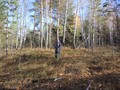Переи?минскии? могильник 2
