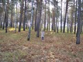 Поселение «Гилева-VIII», III-II тыс. до н.э.