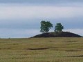 Тютринскии? курганныи? могильник Тюмень-