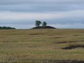Тютринскии? курганныи? могильник Тюмень