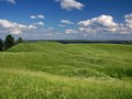 Торопец городище