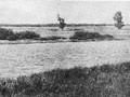 неолитическая стоянка Ибердус-II, Рязанская обл., Касимовскии? раи?он. (Фото И. К. Цветковои?)