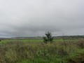 наровчатское гор