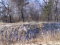 Неклюдовское городище-