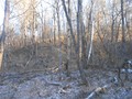 Армиевское городище Ош-Пандо