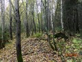 Поповка I, городище