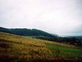Вереинское II (Малышатское), городище