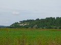 Спасское I, городище