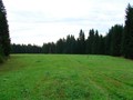 Замалая I, городище