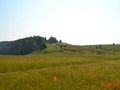 Каширино I, городище